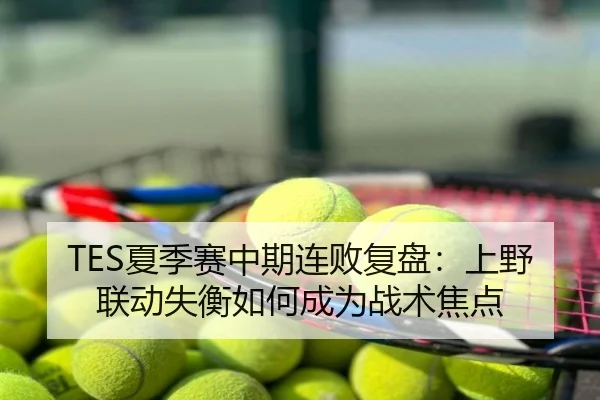 TES夏季赛中期连败复盘：上野联动失衡如何成为战术焦点