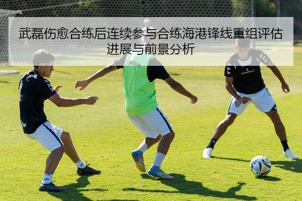 武磊伤愈合练后连续参与合练海港锋线重组评估进展与前景分析